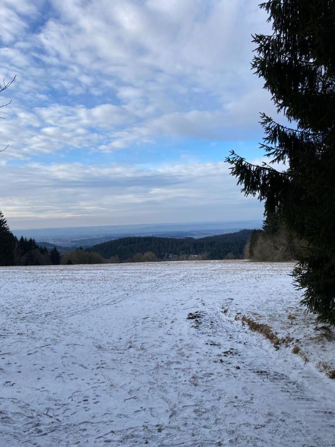 Bavarian Escape Mit Pool Lejlighed *