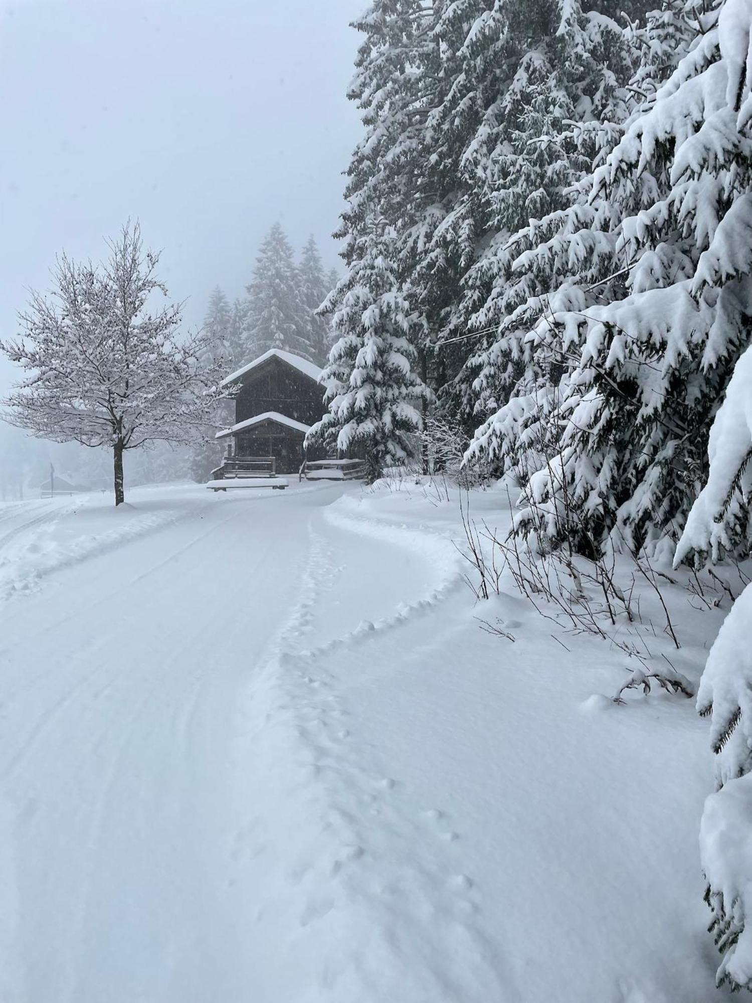 Bavarian Escape Mit Pool Lejlighed *